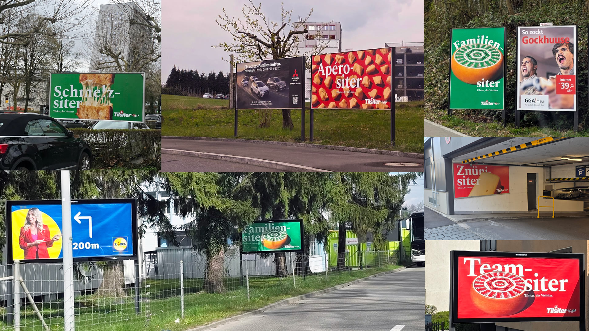 Tilsiter 2026 Kampagne "der Vielsiter"