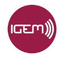 IGEM